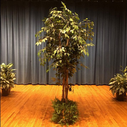 One-of-a-Kind Ficus Tree 7' - Artificial Trees & Floor Plants - artificial ficus trees for rent or own